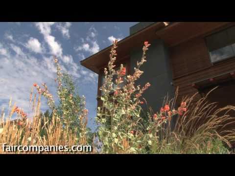 Xeriscaping: native plants and a drought-tolerant yard (LEED landscape in Sun Valley, Idaho)