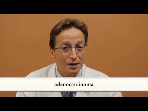 Lung Cancer:  Symptoms, Diagnosis and Staging - Joshua R. Sonett, MD