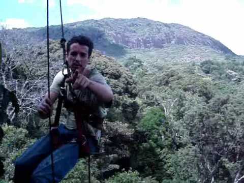 Treeclimbing intachigali2009.wmv