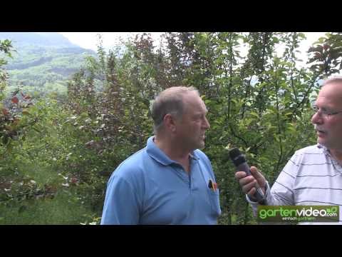 #197 Interview with Harvey Hall from Shekinah Berries - part 1