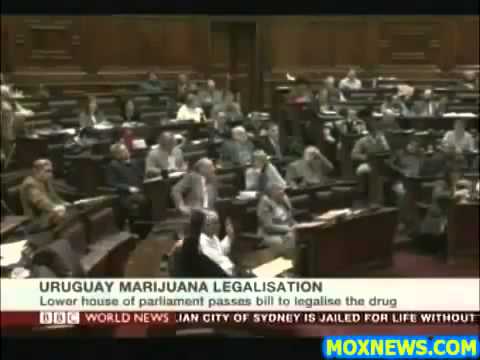 Macro Finance_ Uruguay Set To Become First Country In The World To Legalize Marijuana! Finally!