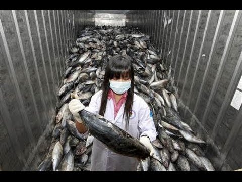 DONT EAT the RADIOACTIVE SEA FOOD in PACIFIC OCEAN Contaminated from FUKUSHIMA RADIATION