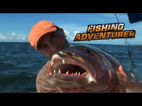 MONSTER CUBERA SNAPPER, WOLF FISH GUIANA - Fishing Adventurer with Cyril Chauquet