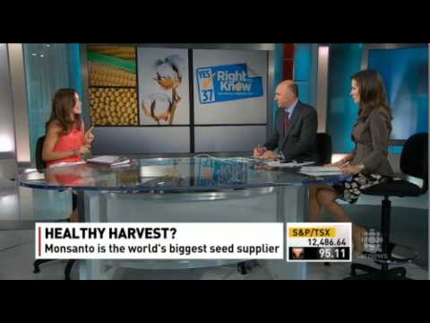 Rachel Parent debates GMO's (vs) Kevin O'Leary on CBC's Lang & O'Leary Exchange