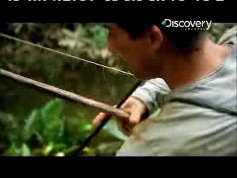 Man vs. Wild - Ecuador Fishing Piranha