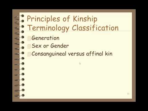 Kinship and Typ's Chart