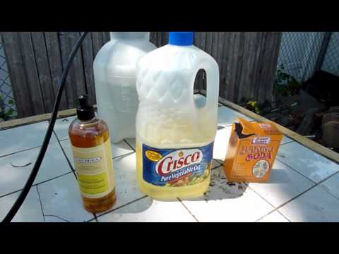 How to: DIY Organic Insecticide/Fungicide recipe