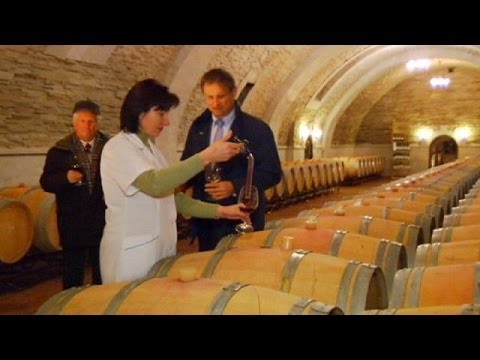 Moldova's winemakers look west after Russian import ban - economy