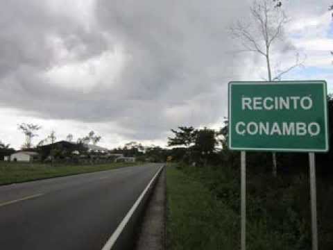 Conambo