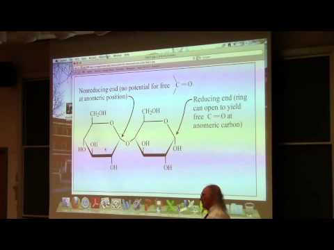 #24 Biochemistry Lecture (Carbohydrate Structure) from Kevin Ahern's BB 350