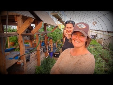 The Cutest Farmers on YouTube - Casa Verde CSA