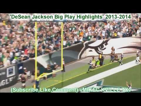 DeSean Jackson 2013-2014 Highlights (New)HD