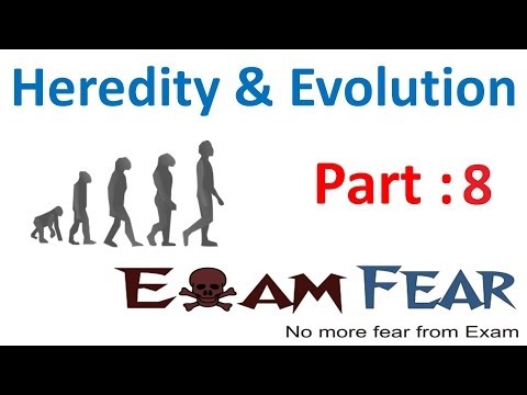 Biology Heredity & evolution part 8 (Understanding Mendel's Experiment) CBSE class 10 X