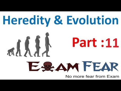 Biology Heredity & evolution part 11 (Heredity Questions) CBSE class 10 X