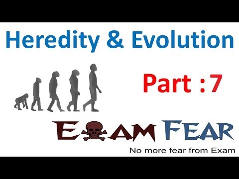 Biology Heredity & evolution part 7 (Homologous, heterologous) CBSE class 10 X