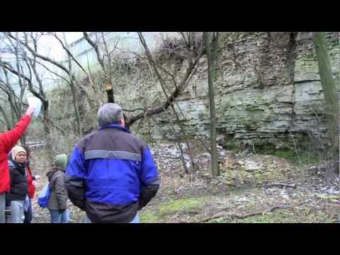 UTSC - Niagara Escarpment Hamiltion field trip