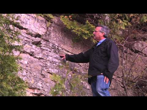 Northern Door County's Niagara Escarpment