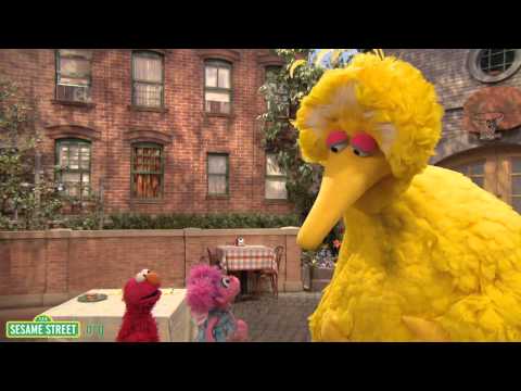 Sesame Street: The Good Birds' Club