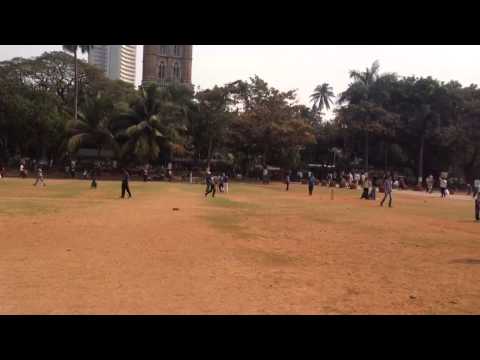 Oval Maidan Mumbai Cricket