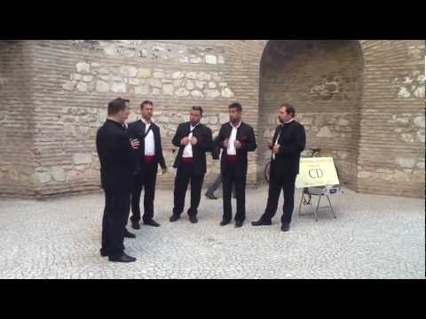 A cappella Croatian singers at Diocletian's Palace, Split.