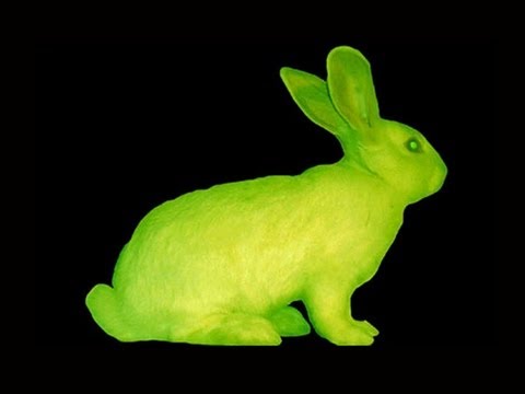 Glow In The Dark Rabbits? -- Mind Blow #70