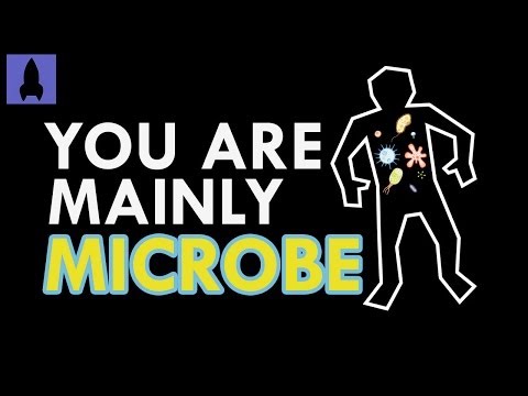 We're Mainly Microbe - Meet Your Microbiome | It's Okay to Be Smart | PBS Digital Studios