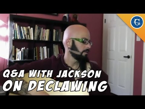 Live Q & A With Jackson Galaxy! Wednesday 2/5/14 at 3:30pm Pacific