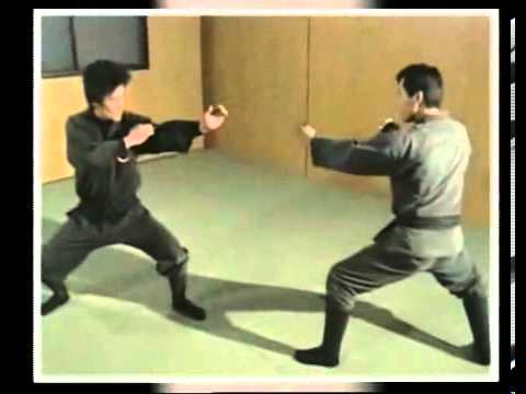 THE BEST MARTIAL ART IN THE WORLD