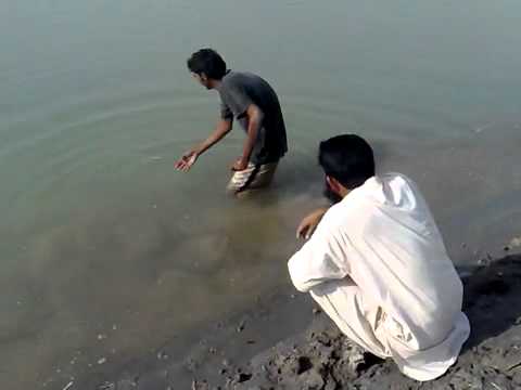 fishing in pakistan indus river bhakkar (By farooq azam shibly my friend) oct-2009.mp4