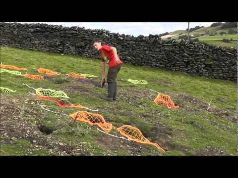 Bolting rabbits with ferrets, 27 in 4 hours.