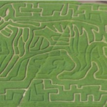 Aerial view of the Tiger Maze