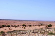 Tamala Station hasn't seen rain for months