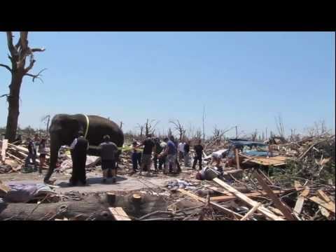 Elephant assists in Joplin Tornado Clean Up