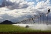 An irrigation pivot at the Hamersley Agricultural Project 