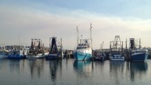 Commercial fishing boats in Coffs Harbour