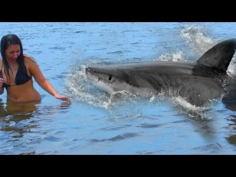 Shark Attack teen girl caught on video - Robe, Australia July 30, 2011