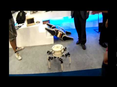 Defexpo 2012 DRDO hexapod & Snake Robots (India)