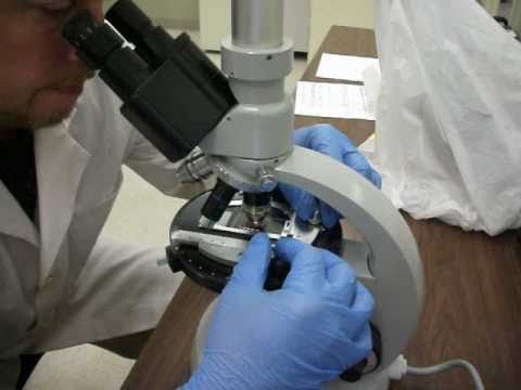 Asbestos testing with Polarizing Light Microscope