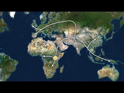 AFRICAN ORIGINS: Tracing Mankind's Ancestors - The African Roots Of The Human Family Tree!