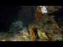 Hydrothermal Vents