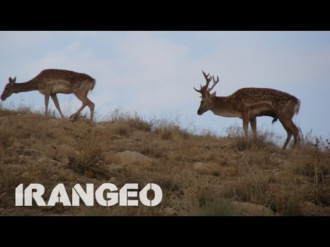 Iran | Kurdistan | Landscapes & Nature