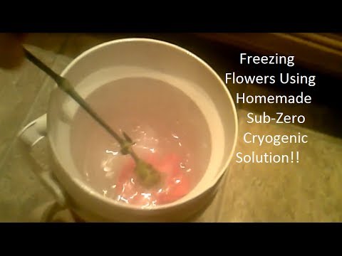 Freezing Flowers Using Substitute Liquid Nitrogen!