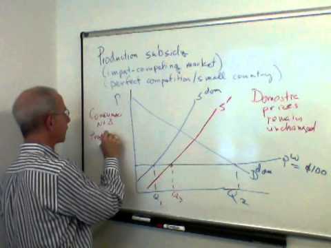 domestic production subsidy (import)