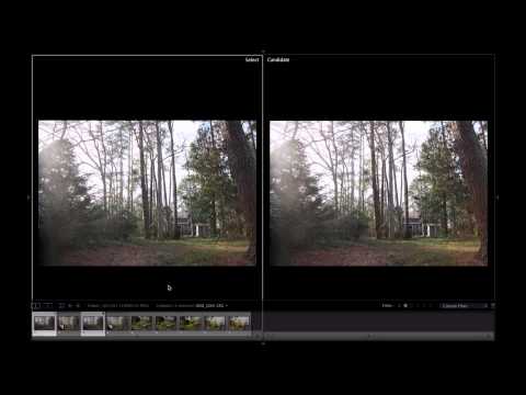 Lightroom Tutorial: RAW VS JPEG