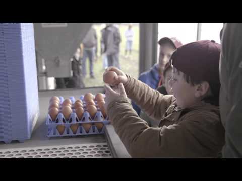 Introducing Farm to Fork part of The Tesco Eat Happy Project, in 90 seconds