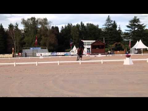 William Fox Pitt & Seacookie TSF, Pau CCI4*