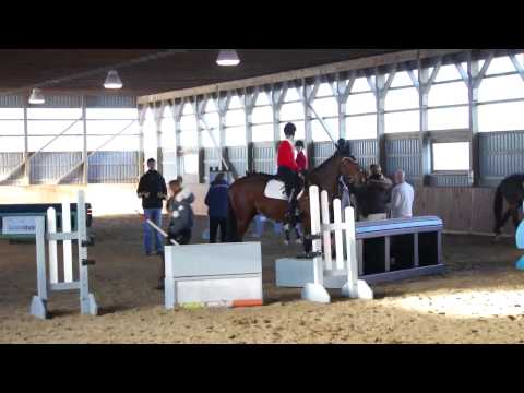 William Fox Pitt clinic prelim jumping