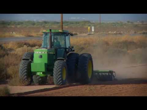 BKW Farms Organic White Sonora Wheat