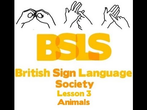 British Sign Language Society Lesson 3 - Animals