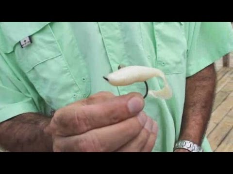 Saltwater Fishing: How to Bait Fish Hooks